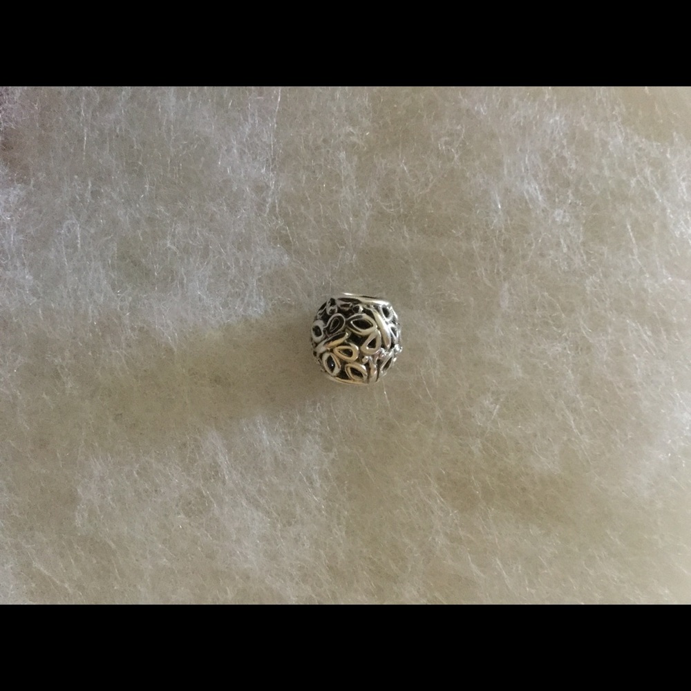 Pandora charm